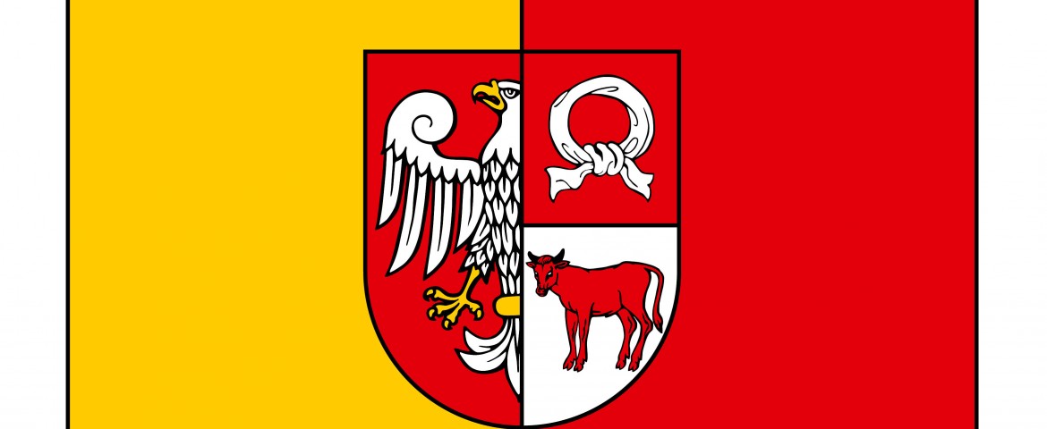 Szkolenie BHP w Starostwie Powiatowym w Czarnkowie